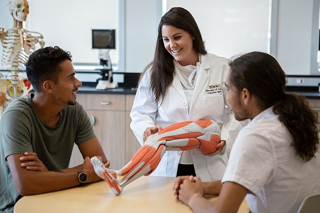 UCCS health faculty member showing model of leg to students