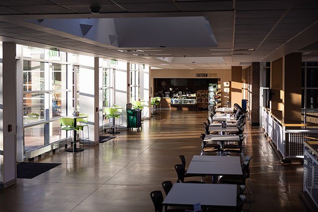 UCCS student studying at the University Center
