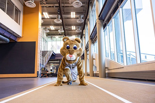 UCCS mascot Clyde at the Hybl Center