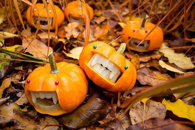 Perky Jerky mini carved pumkpkins
